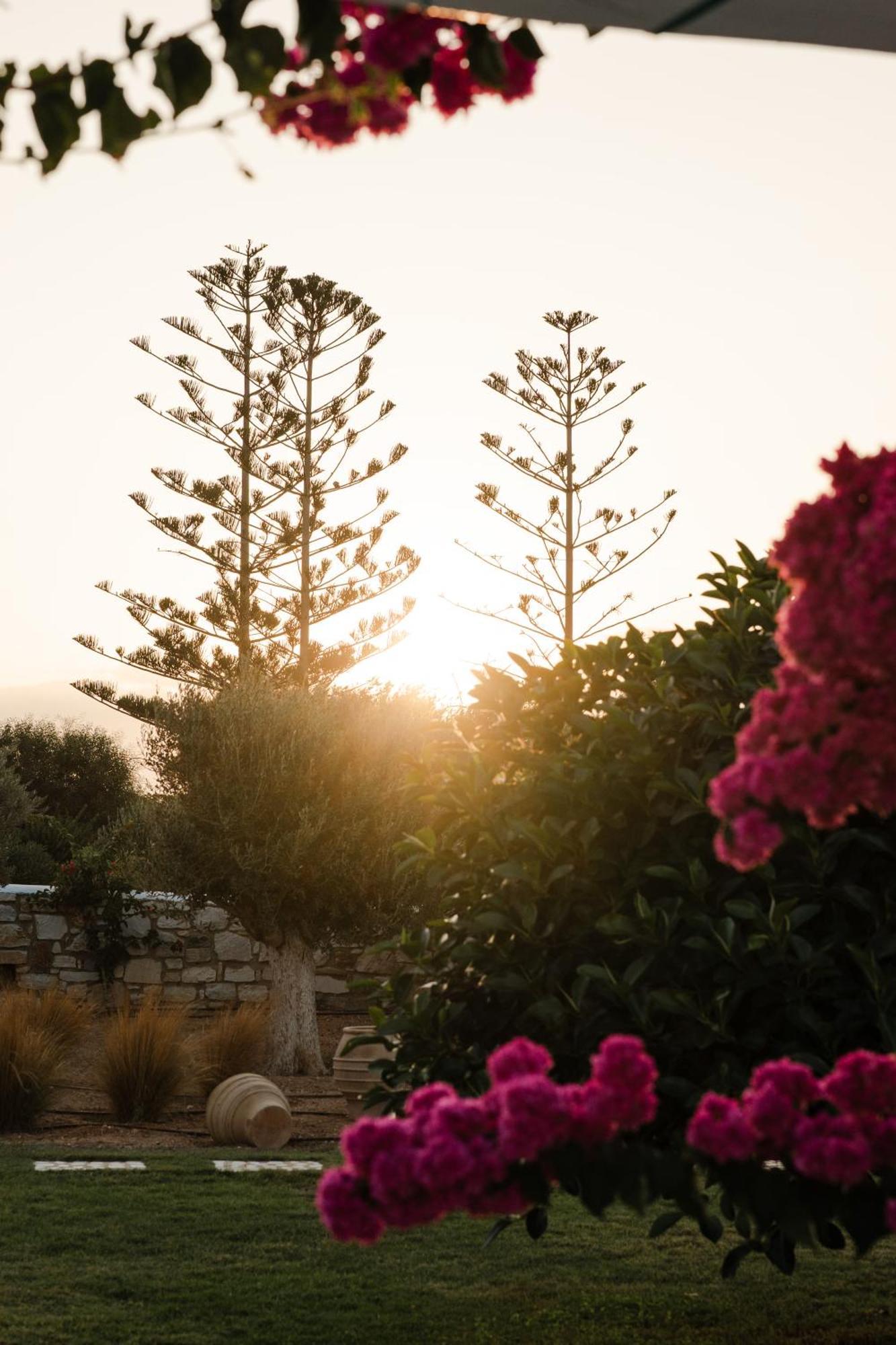 White Dunes Luxury Boutique Hotel サンタ・マリア エクステリア 写真